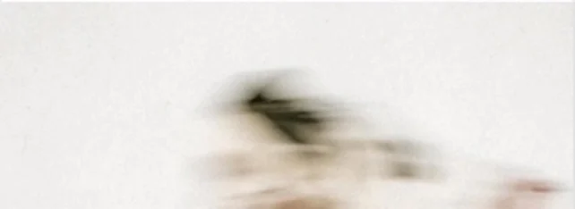 Soft motion blur